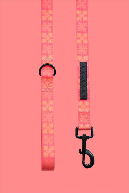 Pink Awapuhi 'Ginger' Leash