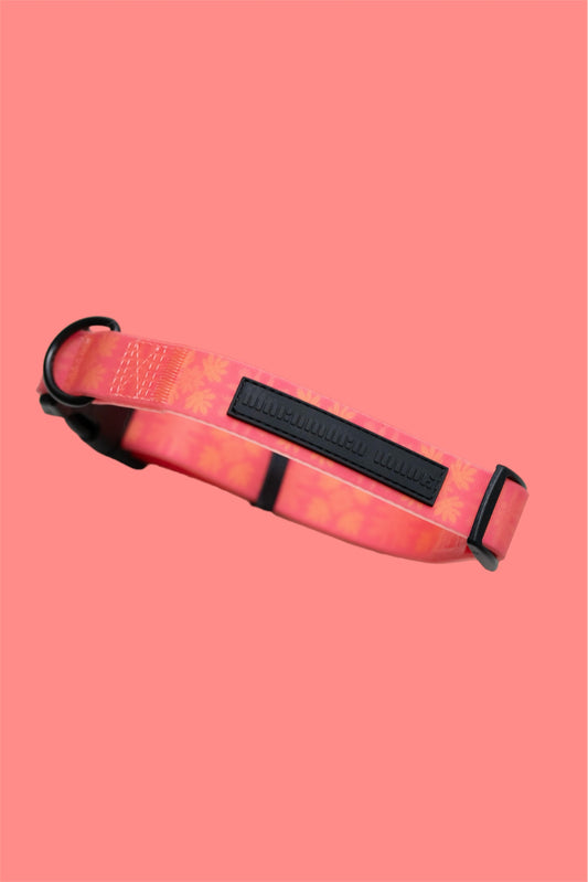 Pink Awapuhi 'Ginger' Collar